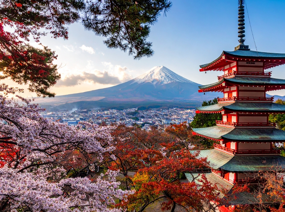 COMBINADO JAPÃO