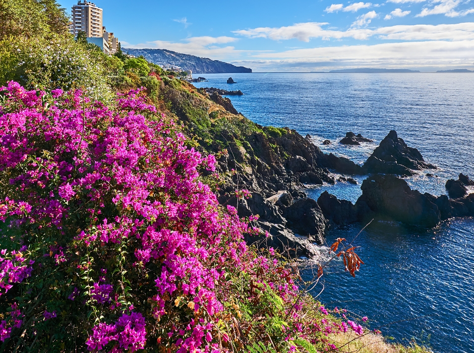 FUNCHAL 