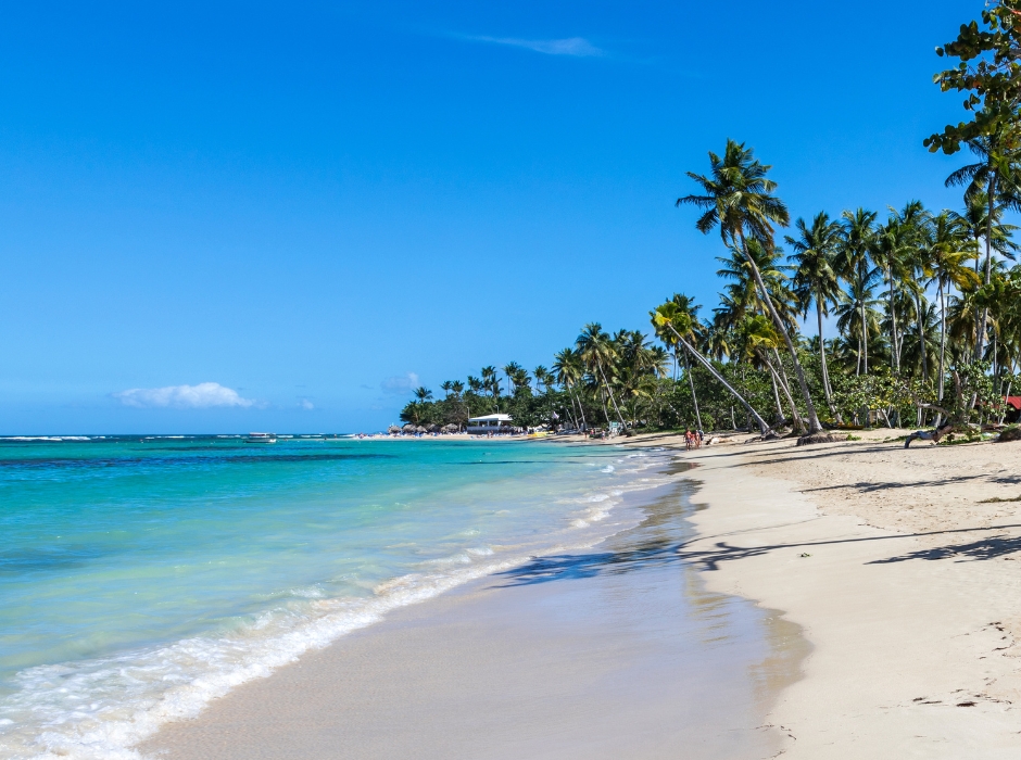 SAMANÁ 