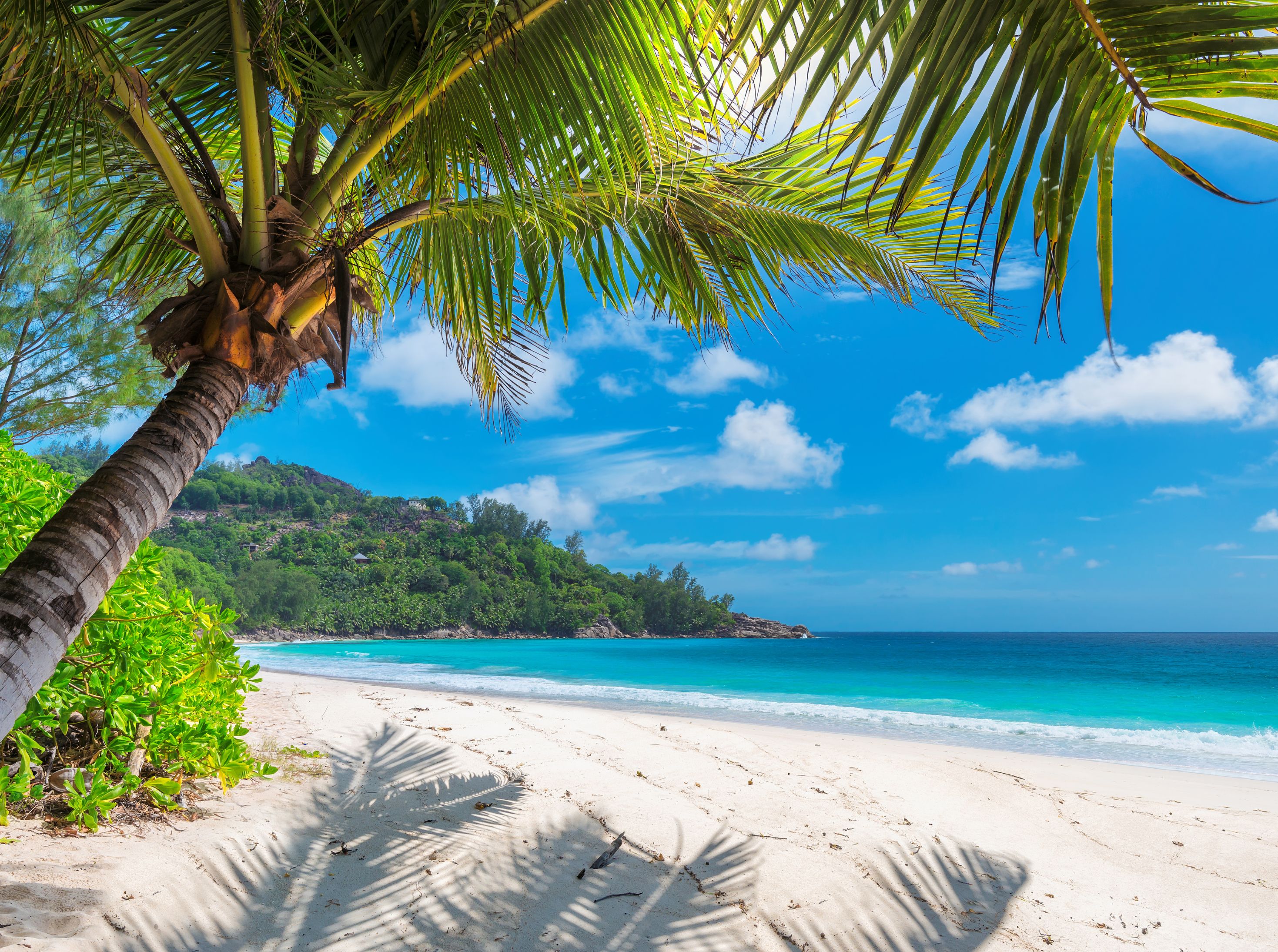 JAMAICA 