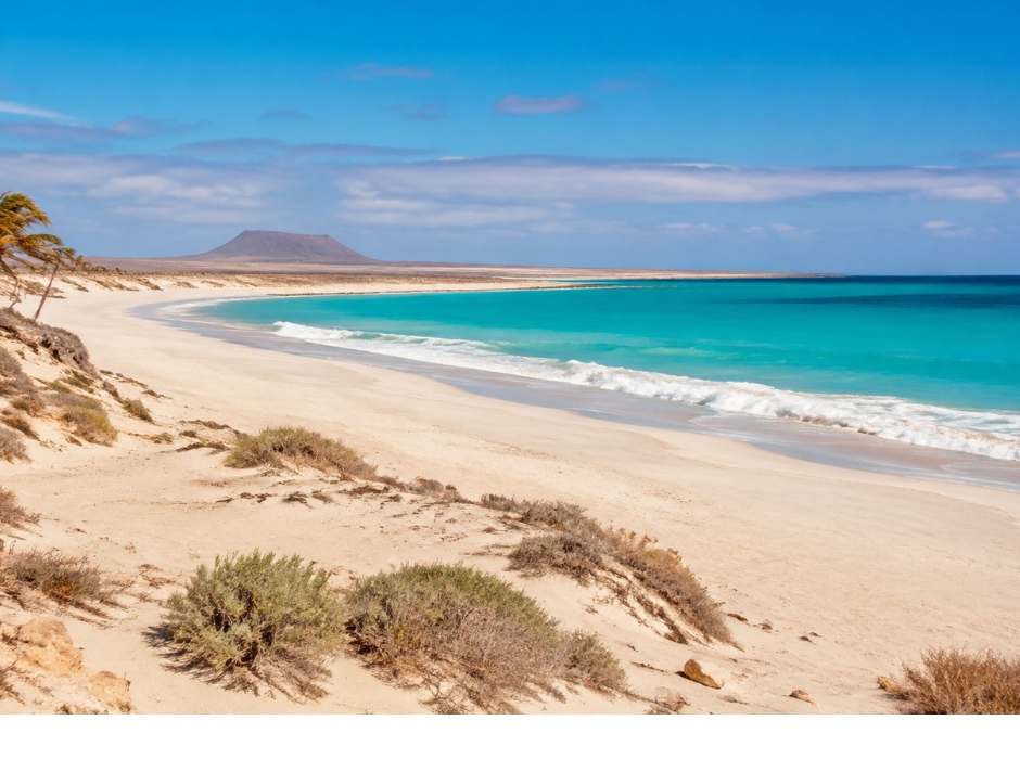 ILHA DA BOAVISTA