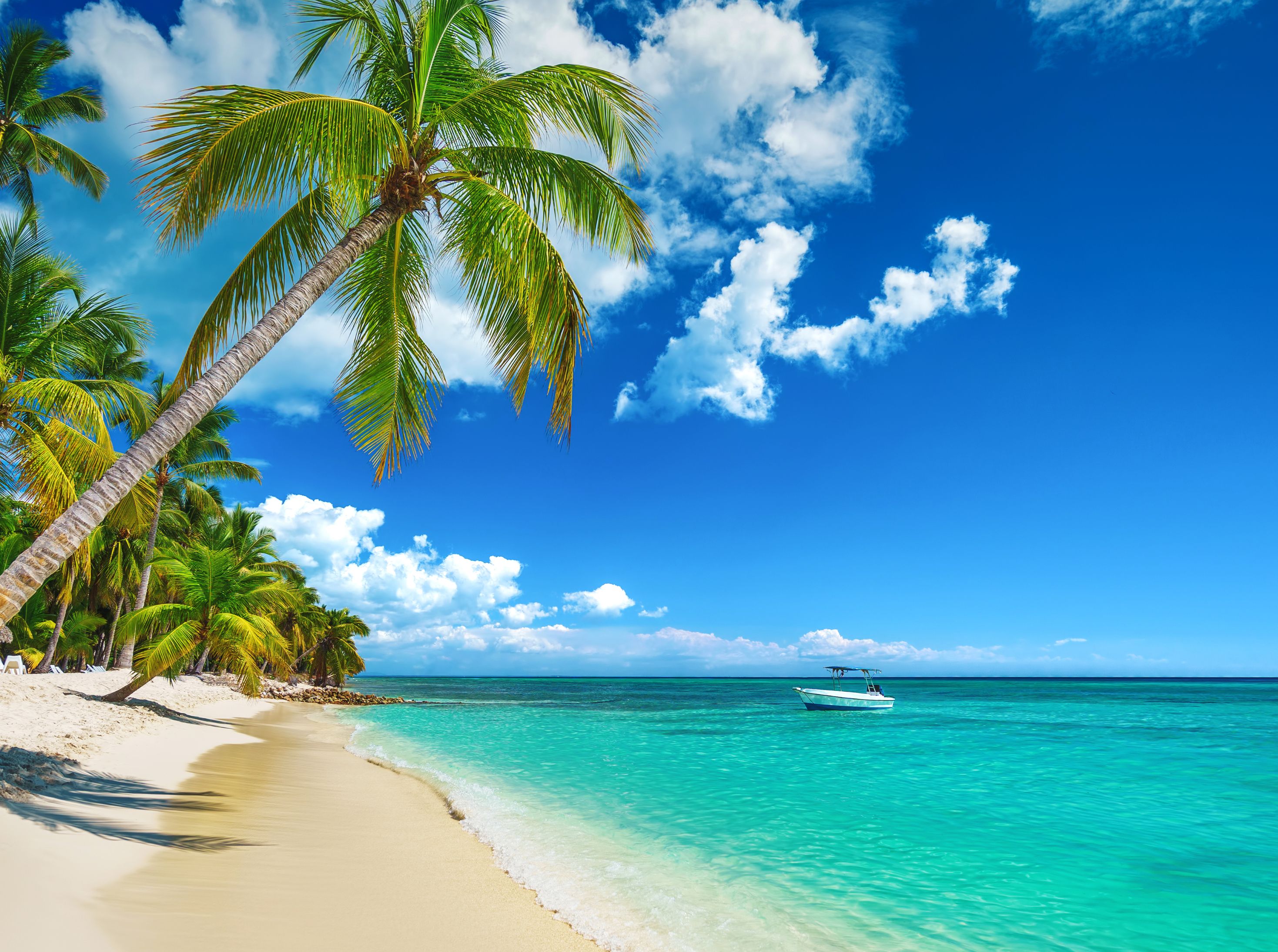 PUNTA CANA     