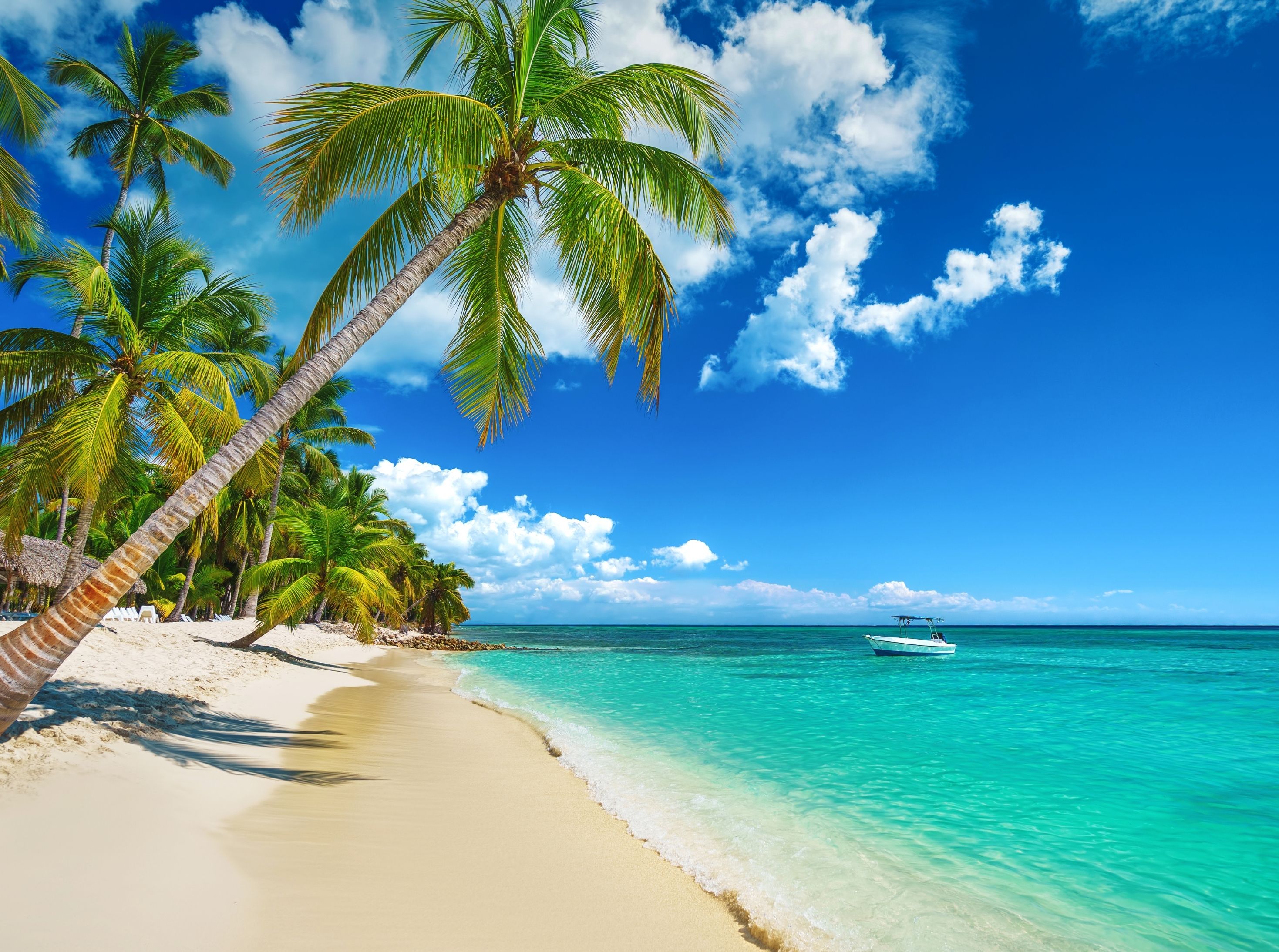 PUNTA CANA