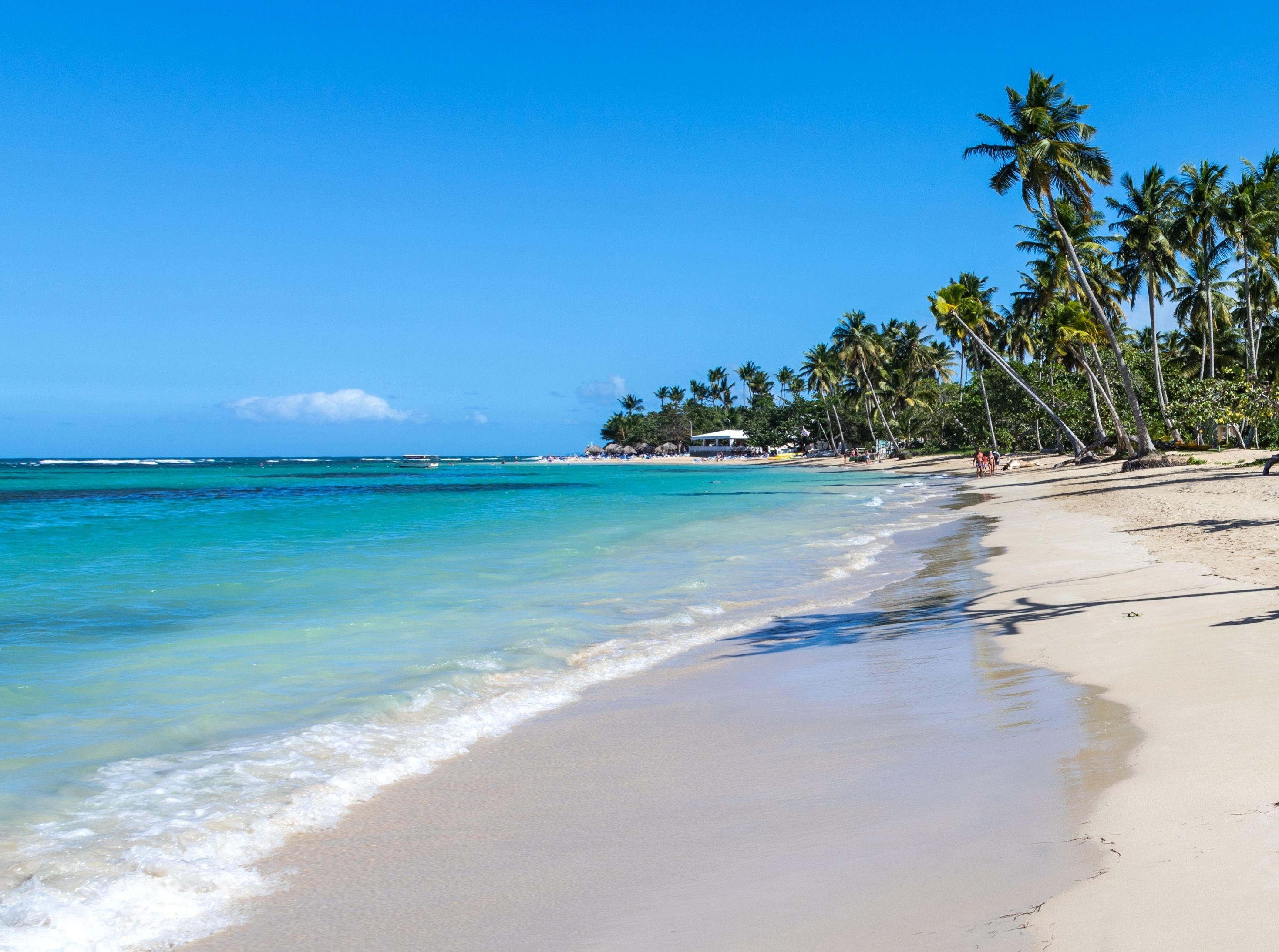 SAMANÁ 