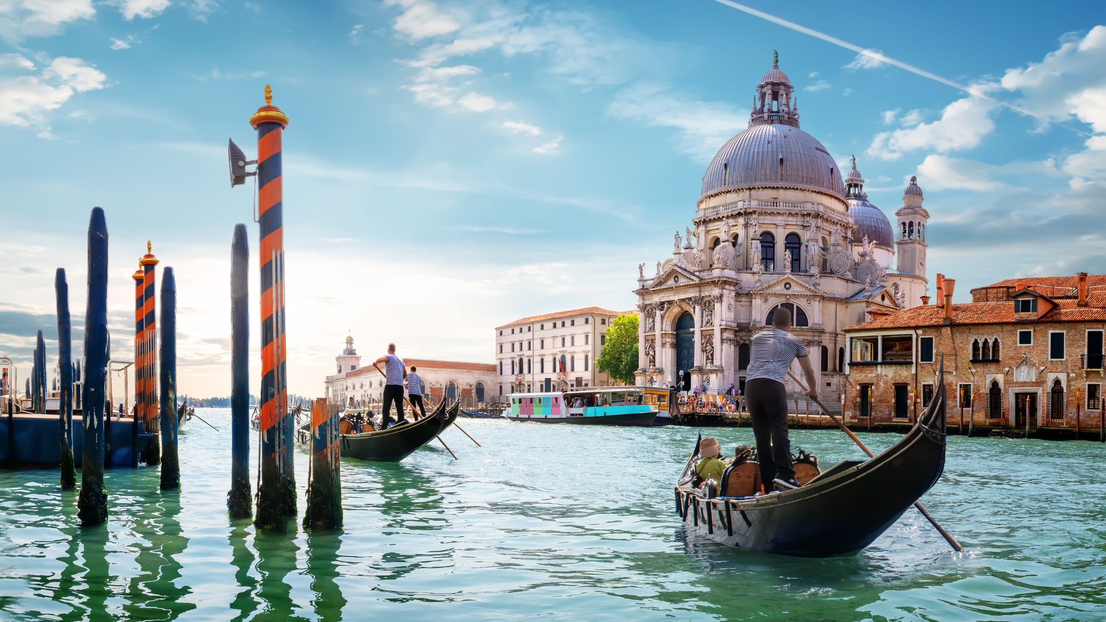 VENEZA