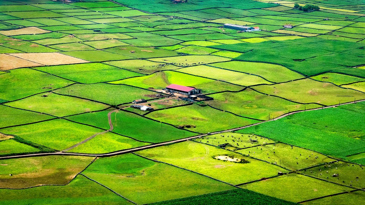 ILHA TERCEIRA 