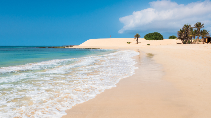 ILHA DA BOAVISTA 