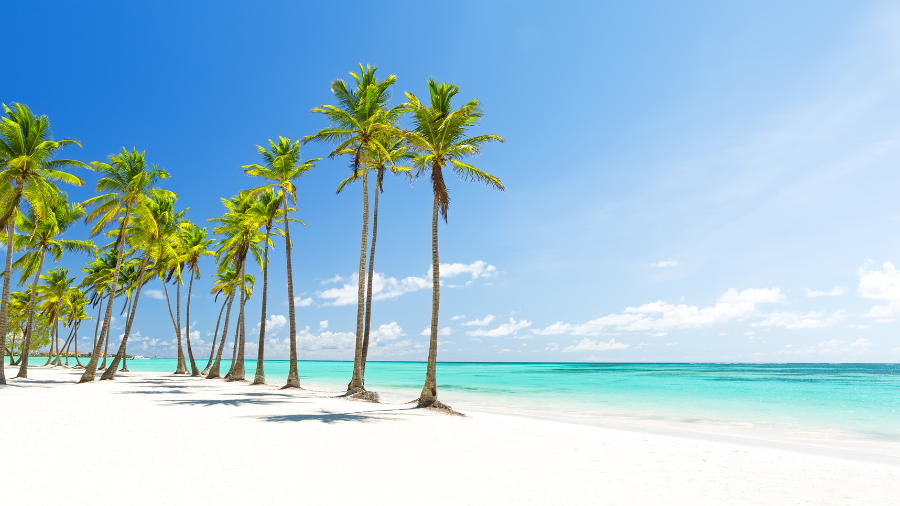 PUNTA CANA
